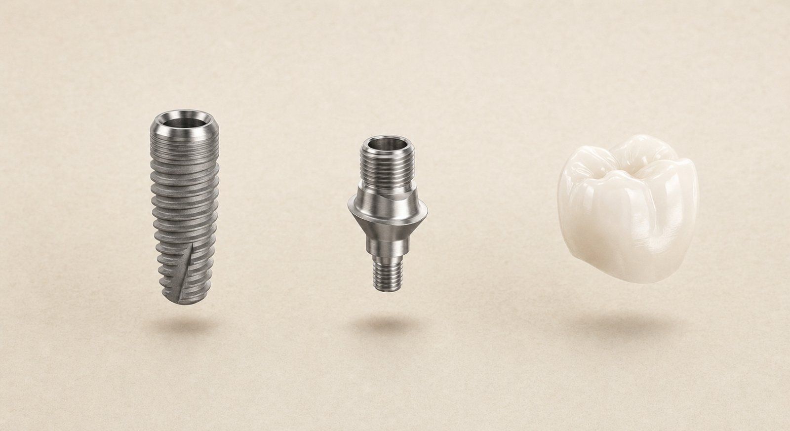 A dental implant: titanium post, abutment, and porcelain crown